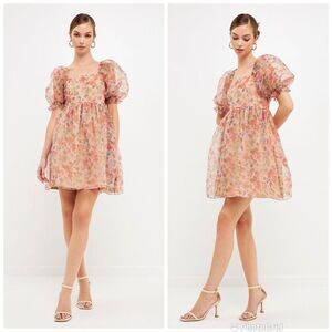 Endless Rose Puff Sleeve Mini Dress